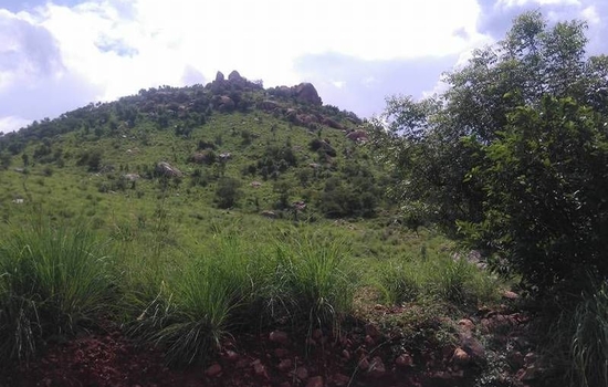 Javadi Hills